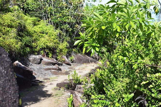 Private Nature Trail (Hiking) (1-2 persons) - Who should book this Mahé hiking experience?