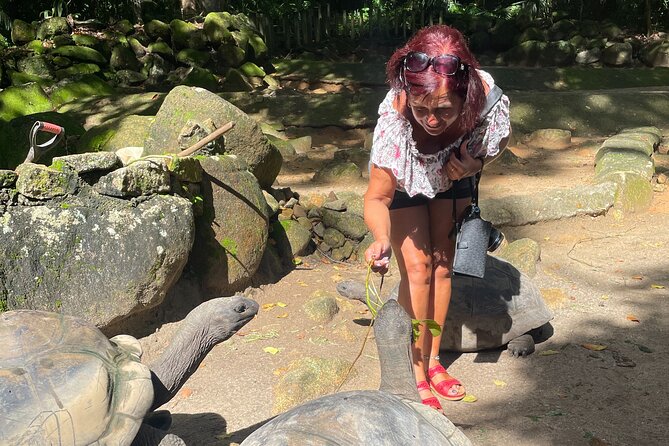 Private Tour: Discover Mahe Beyond the Ordinary - Botanical gardens and the famous Coco de Mer