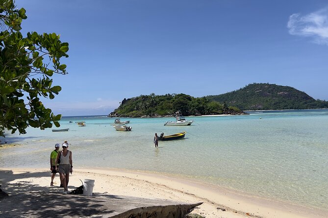 Private Transfer in Seychelles - Timing, Hours, and Cancellation