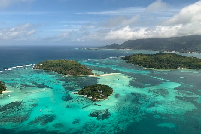 Reef Safari - Snorkeling, Fish Feeding & Lunch (Private Day Trip) - Key points before you book