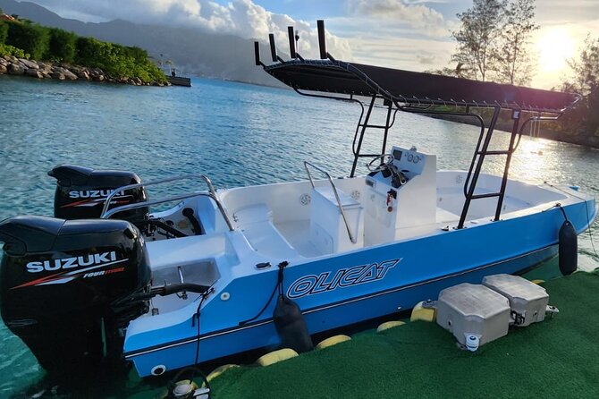 Reef Safari - Snorkeling, Fish Feeding & Lunch (Private Day Trip) - A private lunch with seafood, meat, and fresh fruit