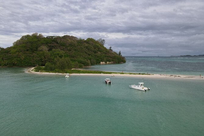 Reef Safari - Snorkeling, Fish Feeding & Lunch (Private Day Trip) - What the private format is really worth
