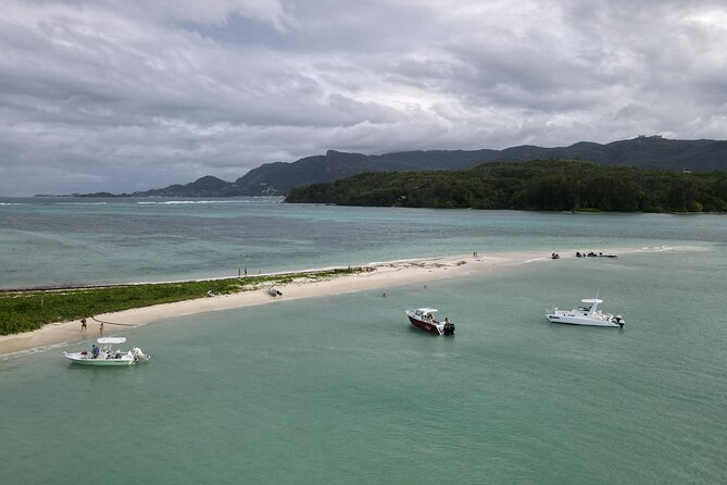Reef Safari - Snorkeling, Fish Feeding & Lunch (Private Day Trip) - Timing, weather, and cancellation advice