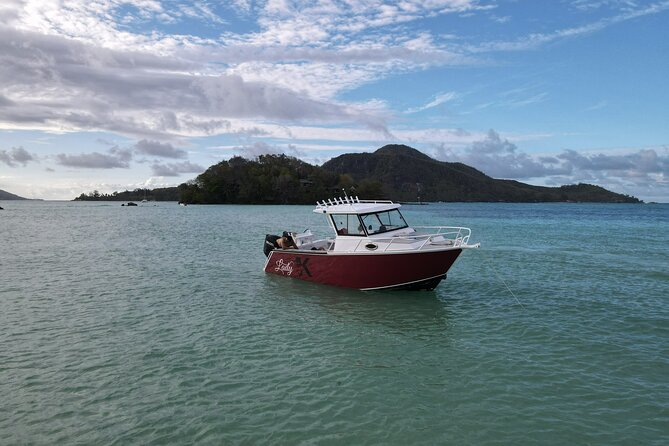 Reef Safari - Snorkeling, Fish Feeding & Lunch (Private Day Trip) - Moyenne Island, giant tortoises, and a 45-minute walk