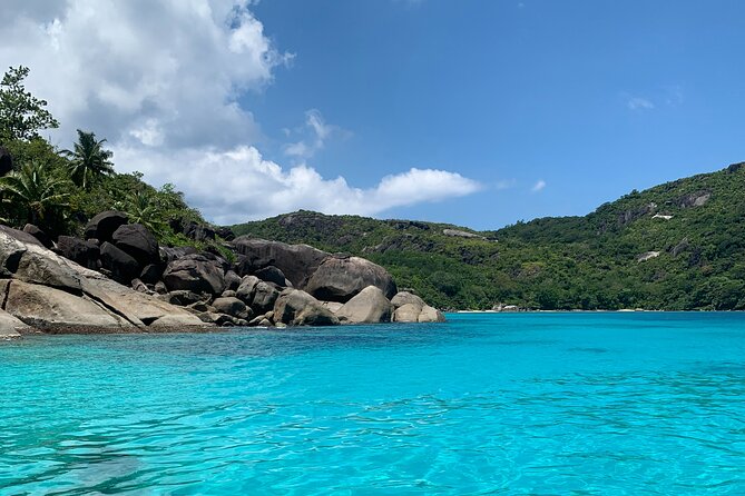 Reef Safari - Snorkeling, Fish Feeding & Lunch (Shared Day Trip) - Key things to know before you book