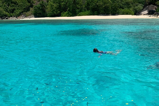Reef Safari - Snorkeling, Fish Feeding & Lunch (Shared Day Trip) - From Victoria to the islands of St. Anne Marine National Park