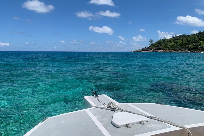 Reef Safari - Snorkeling, Fish Feeding & Lunch (Shared Day Trip) - The crew and the feel of the boat