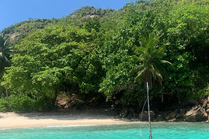 Reef Safari - Snorkeling, Fish Feeding & Lunch (Shared Day Trip) - What $153.66 buys you