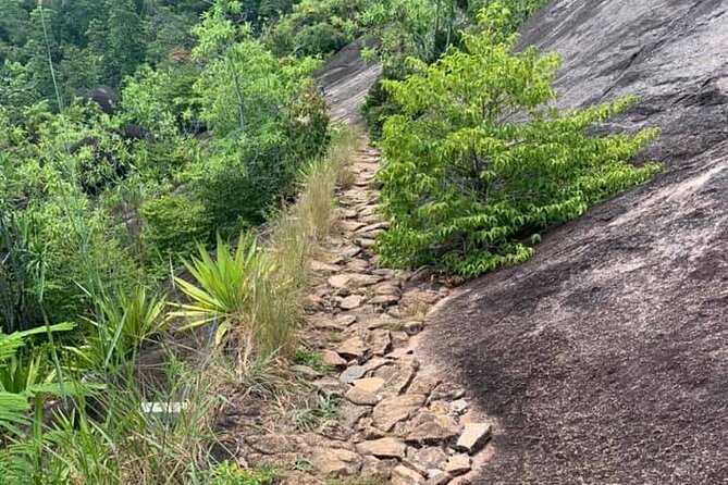 Relaxed hike to Anse Major | Mahe, Seychelles, Great Private Tour - The beach at the end of the route