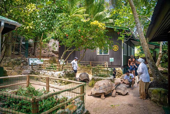 Sainte Anne Marine Park and Moyenne Island - Creole lunch with music on Moyenne