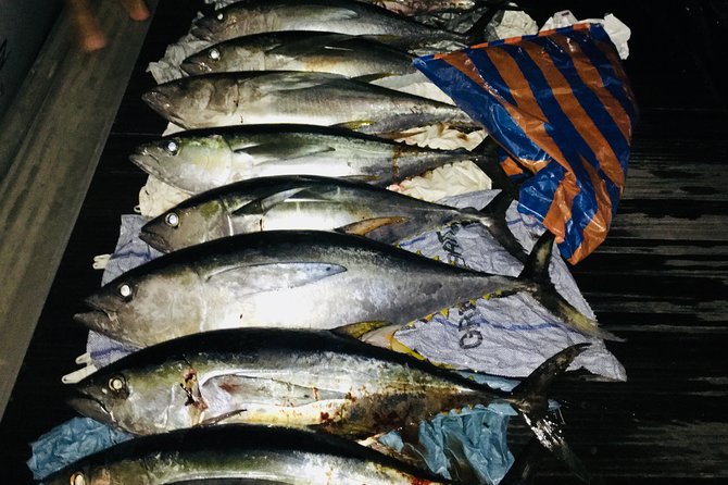Seychelles Fishing - Bottom fishing at the drop-off