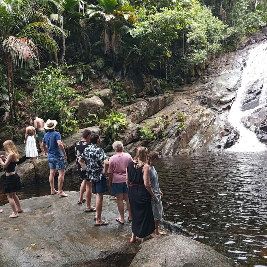 Seychelles: Full Day Private Tour in Mahe (1 to 5 Person) - The Tea Factory adds a local working stop