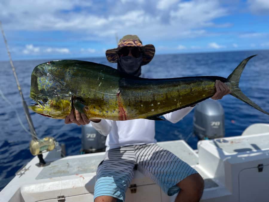 Seychelles: Guided Fishing Trip with Pickup and Equipment - Key points to know before booking