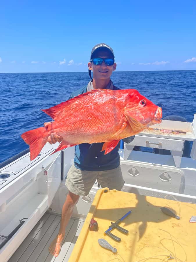 Seychelles: Guided Fishing Trip with Pickup and Equipment - Should you book Ocean Blue Travel?