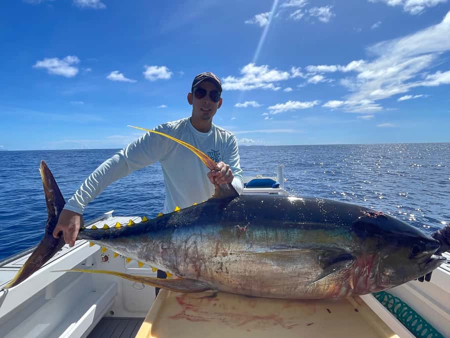 Seychelles: Guided Fishing Trip with Pickup and Equipment - Choosing four hours or nine