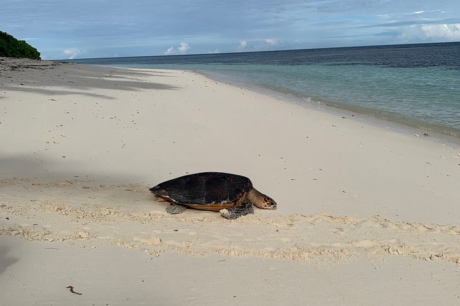 Seychelles Island Tour (PRIVATE 4 hours or 8 Hours) - Mission Lodge Lookout: big views for a short stop
