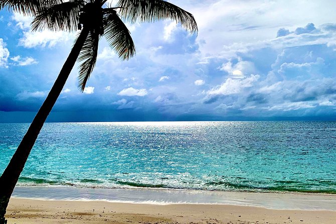 Seychelles Island Tour (PRIVATE 4 hours or 8 Hours) - Four hours or eight hours: choose carefully