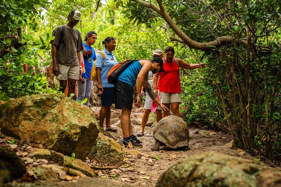 Seychelles: St Pierre and Curieuse Catamaran Tour with Lunch - Lunch aboard Oplezir, with a useful vegetarian option