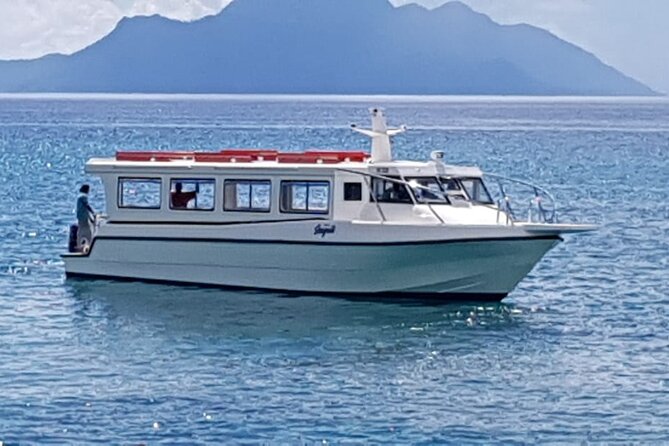 Seychelles VIP Transport Services - A useful hand with luggage