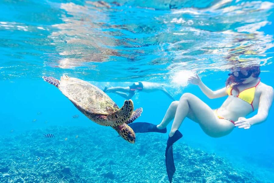 Sister, Coco, and Felicite Island: Seychelles Catamaran Tour - What the crew adds to the day