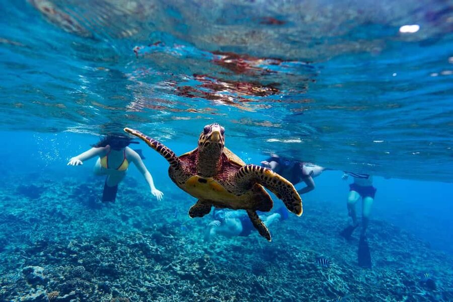 Sister, Coco, and Felicite Island: Seychelles Catamaran Tour - Leaving La Digue or Praslin by catamaran