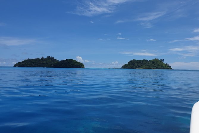St Anne Marine Park & Moyenne Island, Creole Lunch (Private Boat) - Walking Moyenne Island and meeting the tortoises