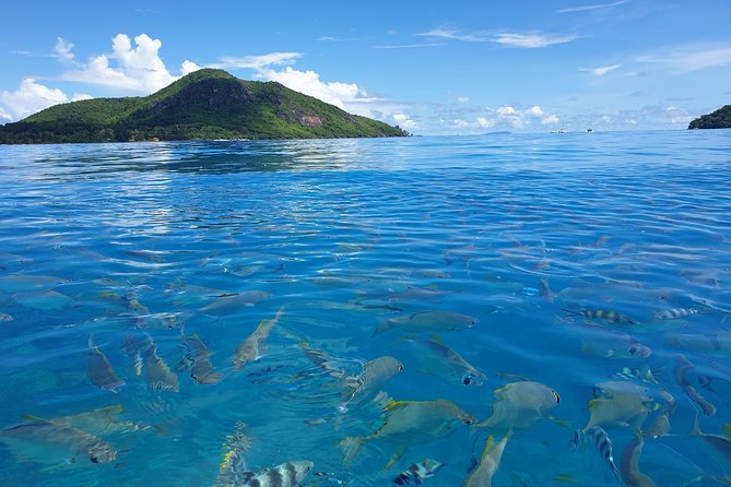 St Anne Marine Park & Moyenne Island, Creole Lunch (Private Boat) - Who should book this experience