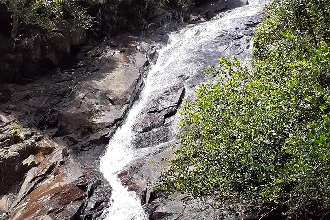 Taxi service & Mahe Island tours - Botanical gardens and a slower look at island nature