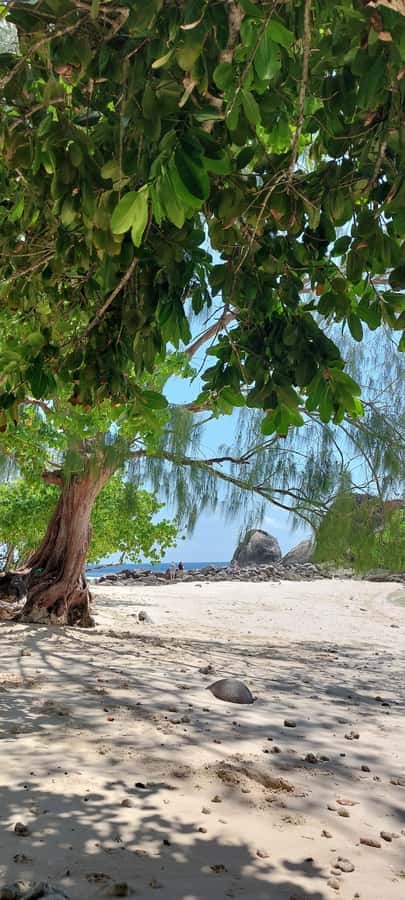 Tour Mahe Seychelles your way. Victoria national park beache - Takamaka rum, perfumery, and the craft village