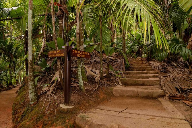 Vallee de Mai Tour (From Praslin) - Looking for Coco de Mer and small wildlife