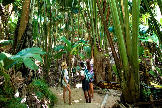 Vallee de Mai Tour (From Praslin) - The 9:00 am pickup from your accommodation