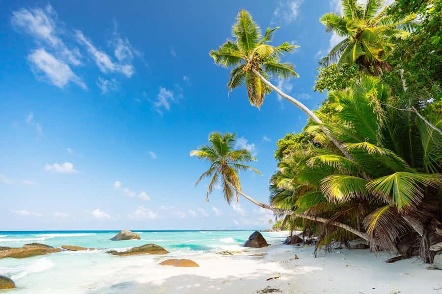 Victoria: Seychelles Mahe Island Tour - Mountain roads and coastal views