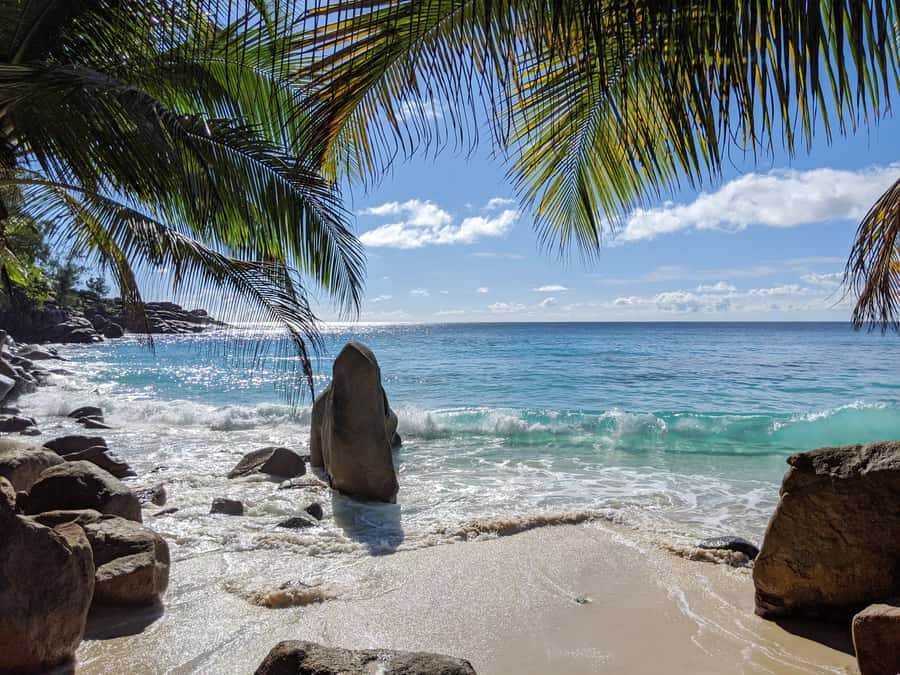 Victoria: Seychelles Mahe Island Tour - Beaches, viewpoints, and the value of choosing your stops
