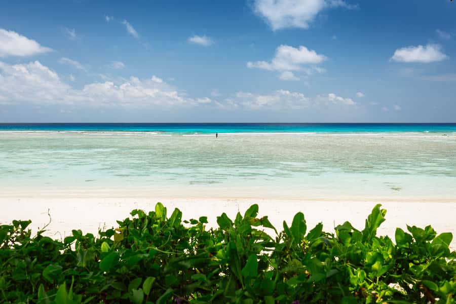 Victoria: Seychelles Mahe Island Tour - Who should book this experience